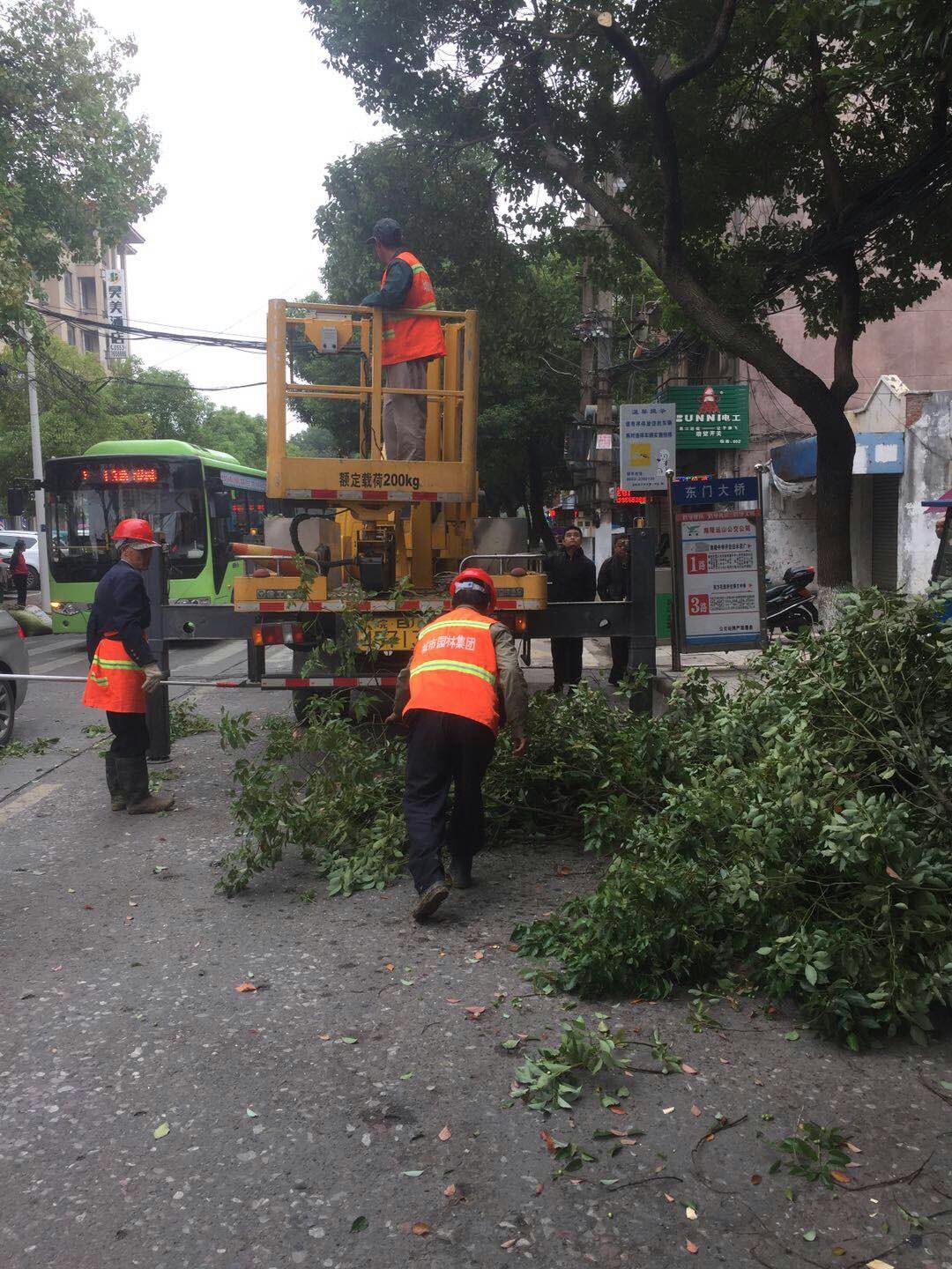 近日，我公司根據(jù)南陵縣市政園林所通知，組織安排人員車輛協(xié)助市政園林所路燈科修剪陵陽路兩側(cè)遮擋路燈照明的樹枝。此項工作持續(xù)了三天，消除了因路燈光照不足帶來的夜間通行安全隱患問題，受到沿線居民一致好評。